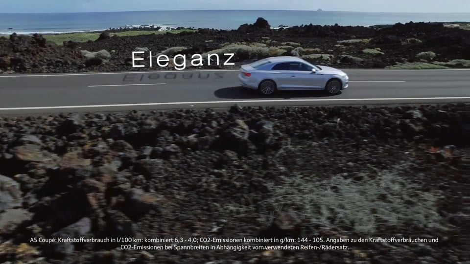 Porsche and Dunlop - Nürburgring Winners