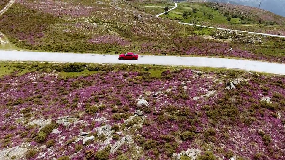 Cuvée 356, der Porsche-Wein – zu 70 Jahren "Porsche"
