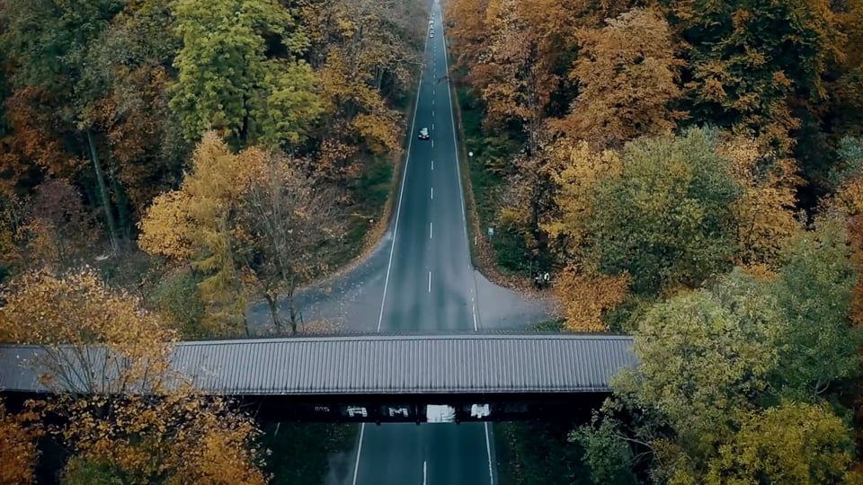 Three-hundred and sixty-five Pandas welcome Panda Waze – It’s a record! 