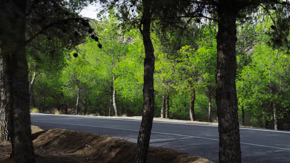 VW Bulli OFFROAD Tuning by delta4x4