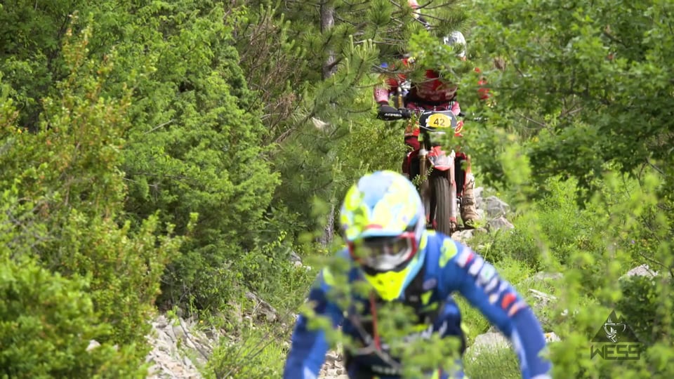 Der V8-Motor des neuen BMW 8er Coupé.