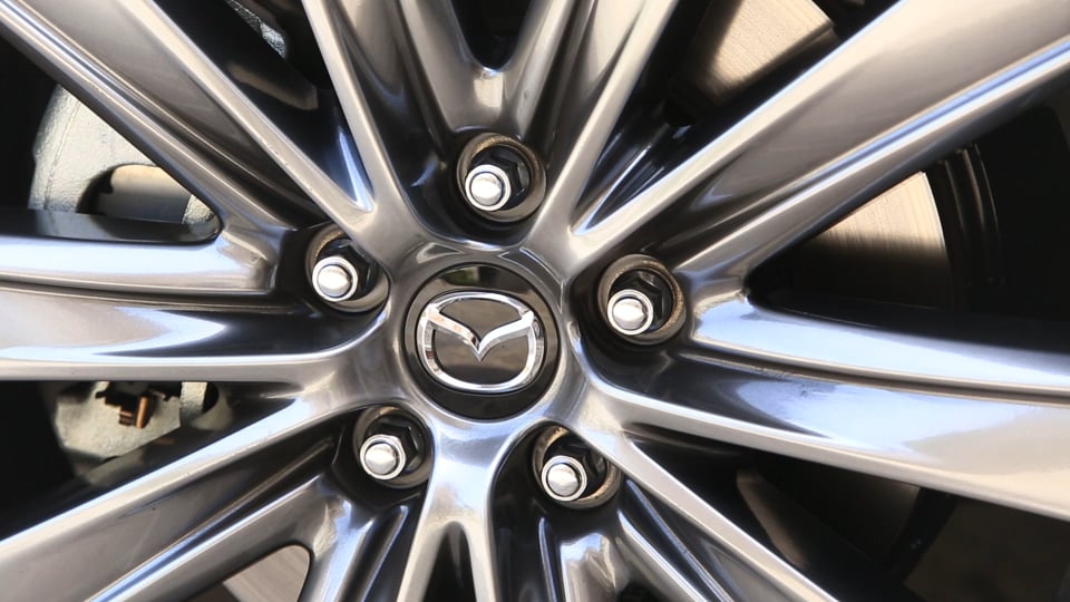 Afrika mit Afrikascout! Life is a safari