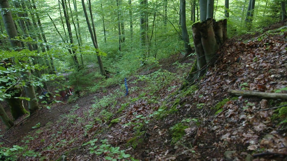 The new Jeep Cheerokee...