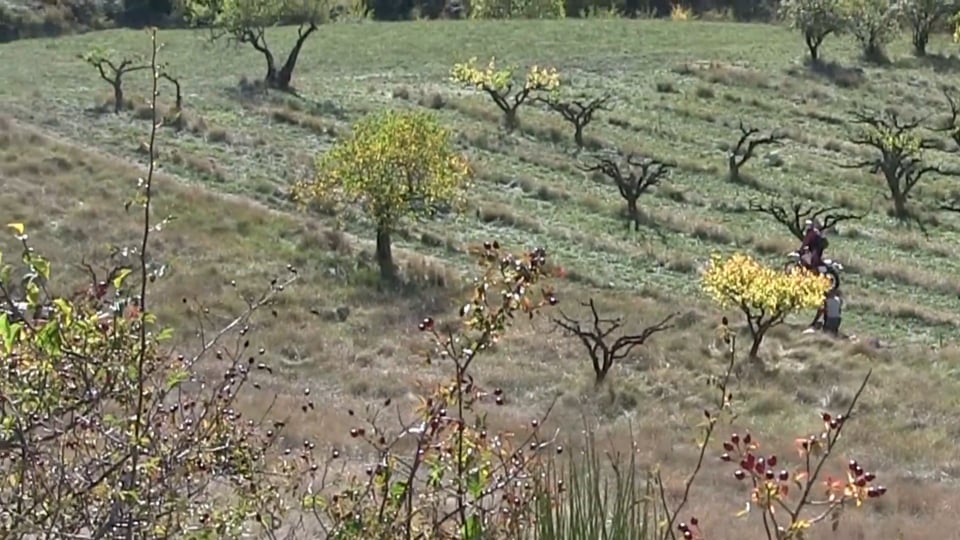 LMC Breezer Passion Alkoven Produktfilm | Das Familien-Wohnmobil (Modelljahr 2018/19)