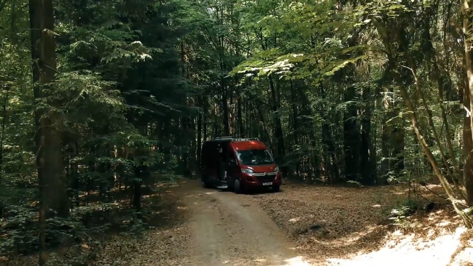 LION'S RUN One of One North Edition 2018