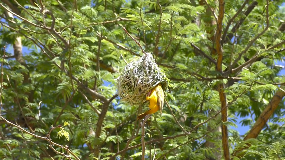 Wohnkabinen Abholung in Schweden - mit der Polferries Nova Star von Gdansk nach Nynäshamn und zurück