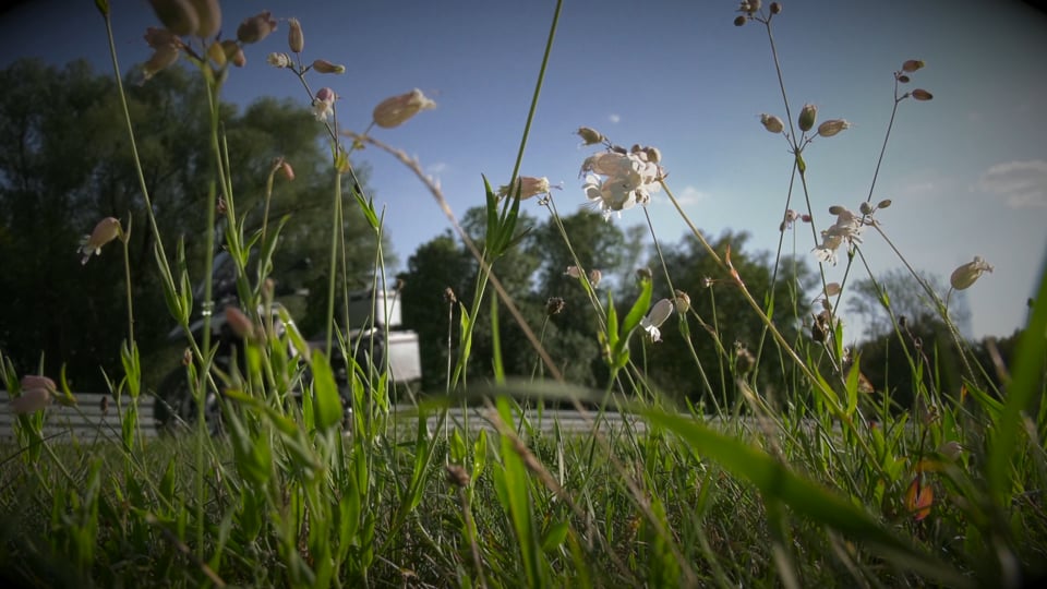 WRC FIA – Stop 12 in Spain: Friday's late stages...