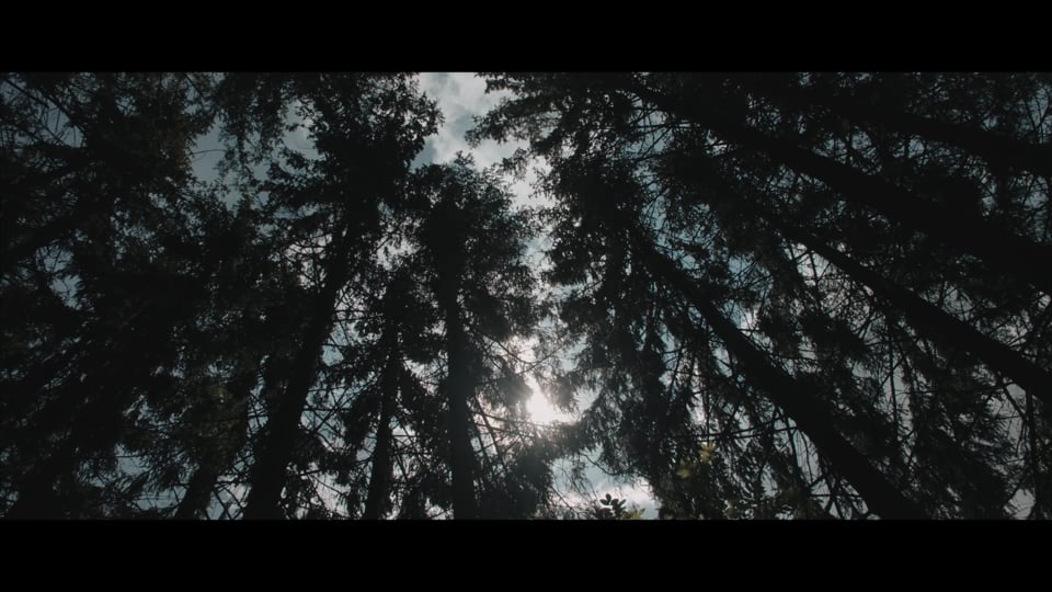 WRC FIA – Stop 12 in Spain: Sunday stages...