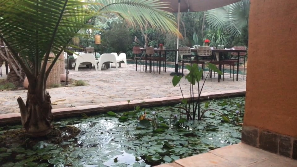 Golf's in einer Reihe