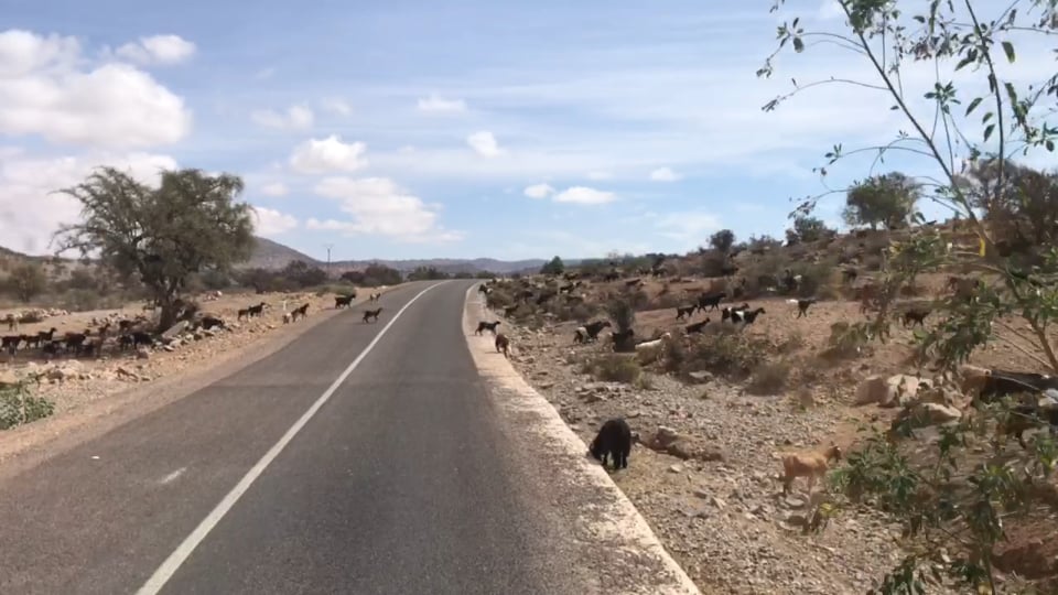 Timmelsjoch – von Imst aus 