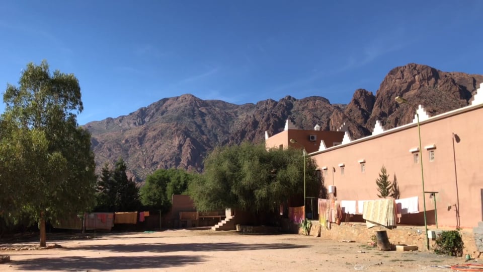 VW Käfer - nothing beats the Beetles