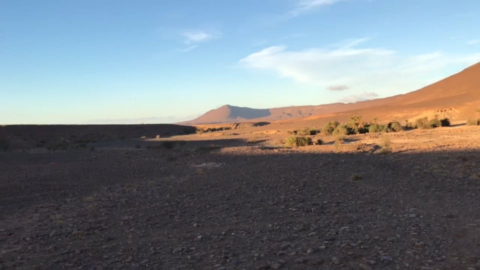 Pit stop and driver change