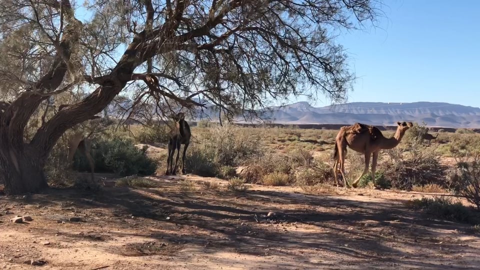 Sport1 - Track Days: Drift Contest