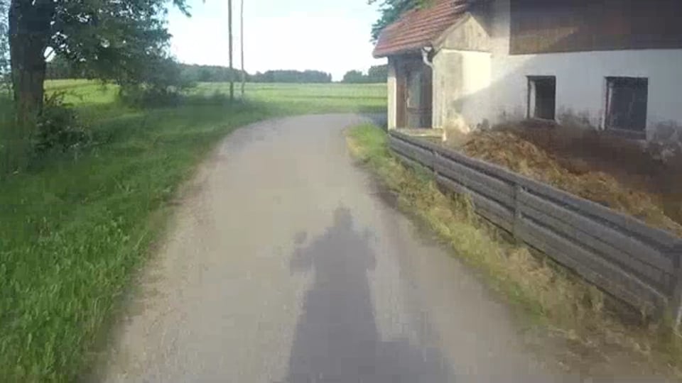 mcchip-dkr Trackday Service Ascari Race Resort 2015