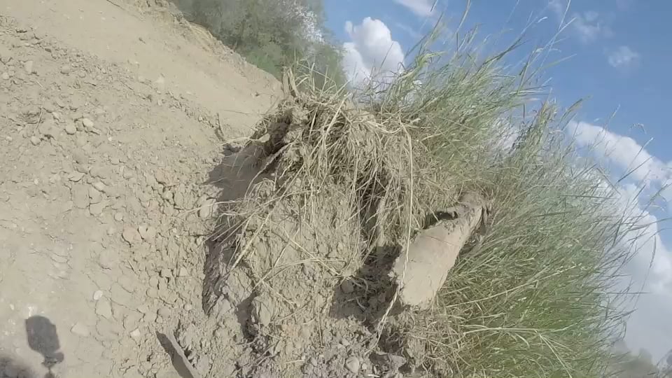 Espresso Rallye – Die Teilnehmer...