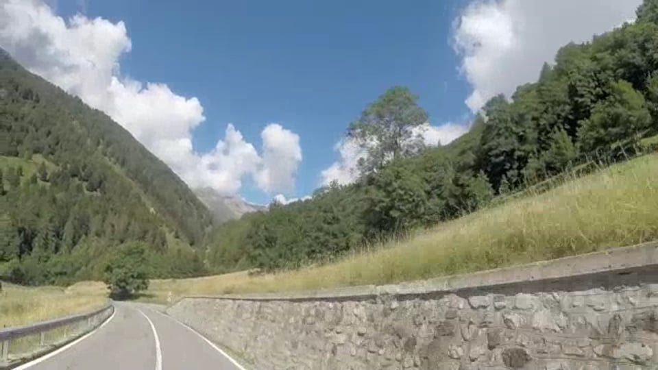 Goodwood Hot Rods 2015